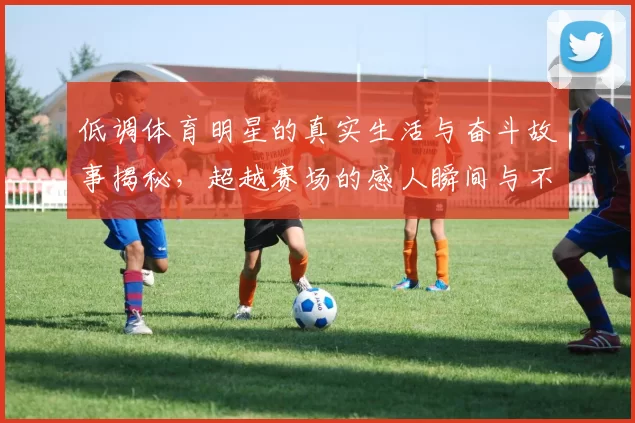 低调体育明星的真实生活与奋斗故事揭秘，超越赛场的感人瞬间与不为人知的努力