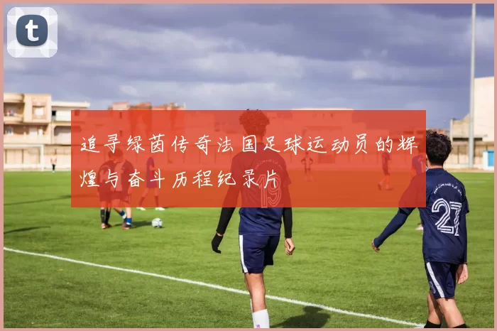 追寻绿茵传奇法国足球运动员的辉煌与奋斗历程纪录片